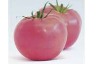 1810 F1 - томат индетерминантный (Lark Seeds) фото, цена
